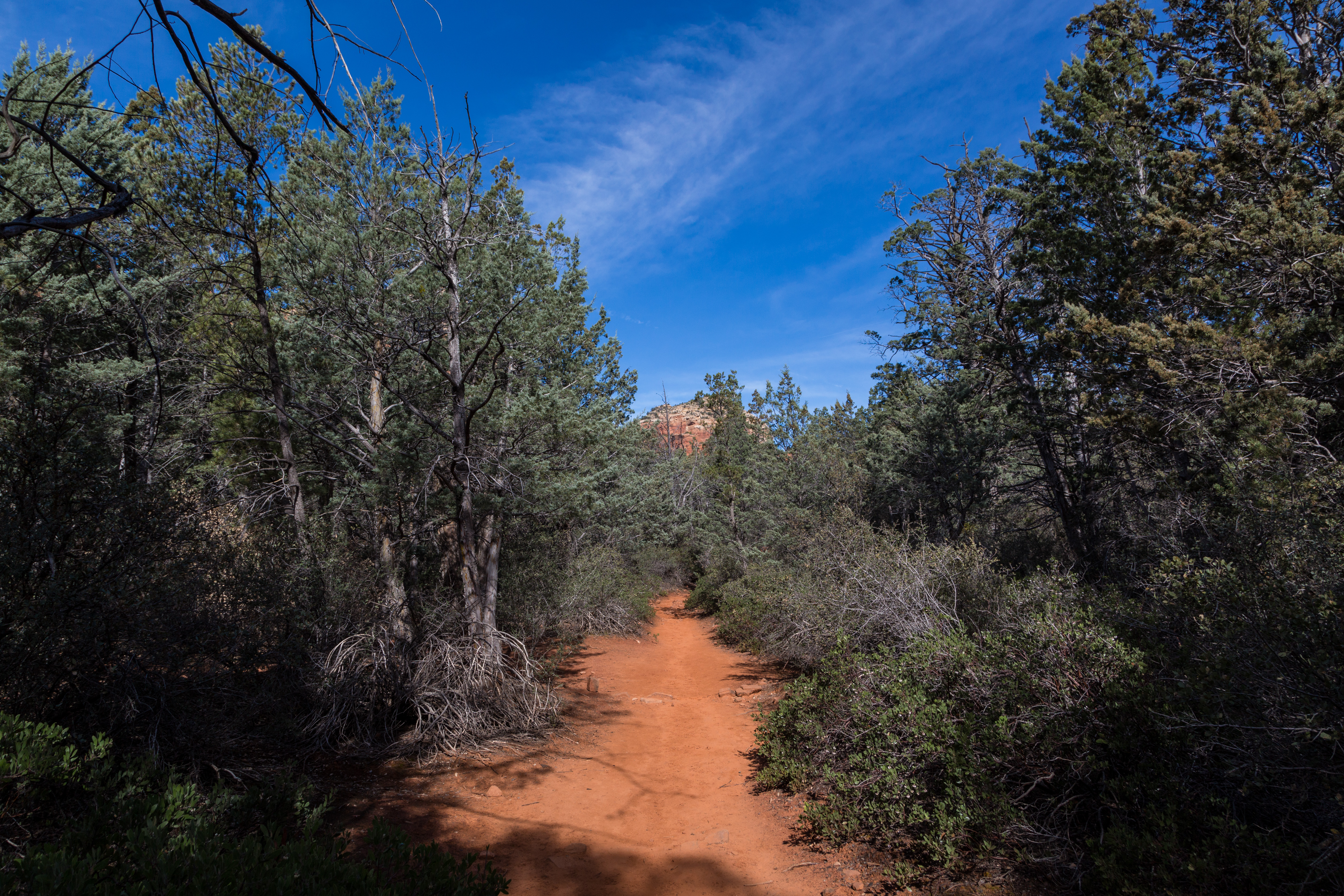 Soldier's Pass Trail to Brins Mesa Trail