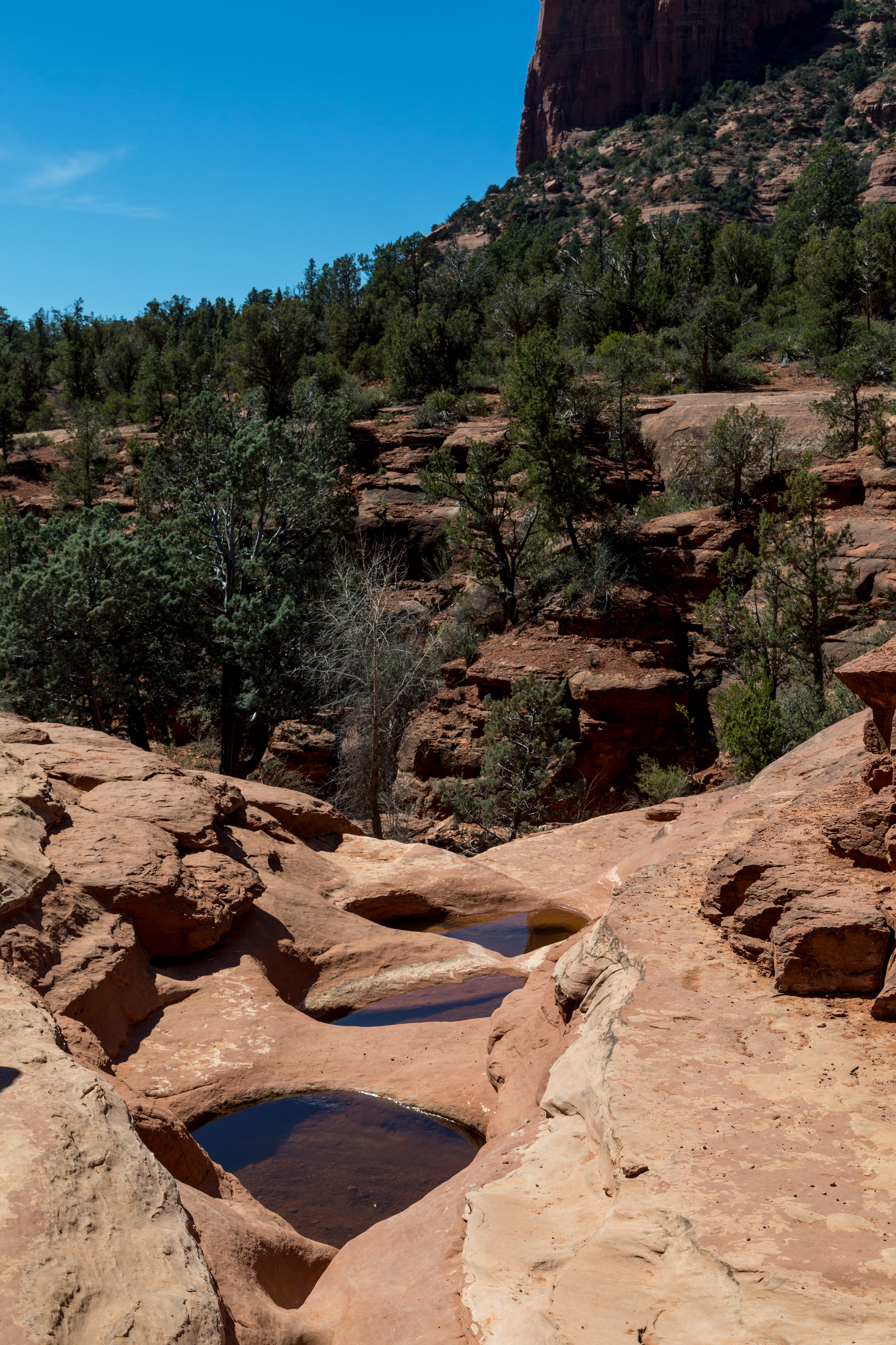 Soldier's Pass Trail to Brins Mesa Trail