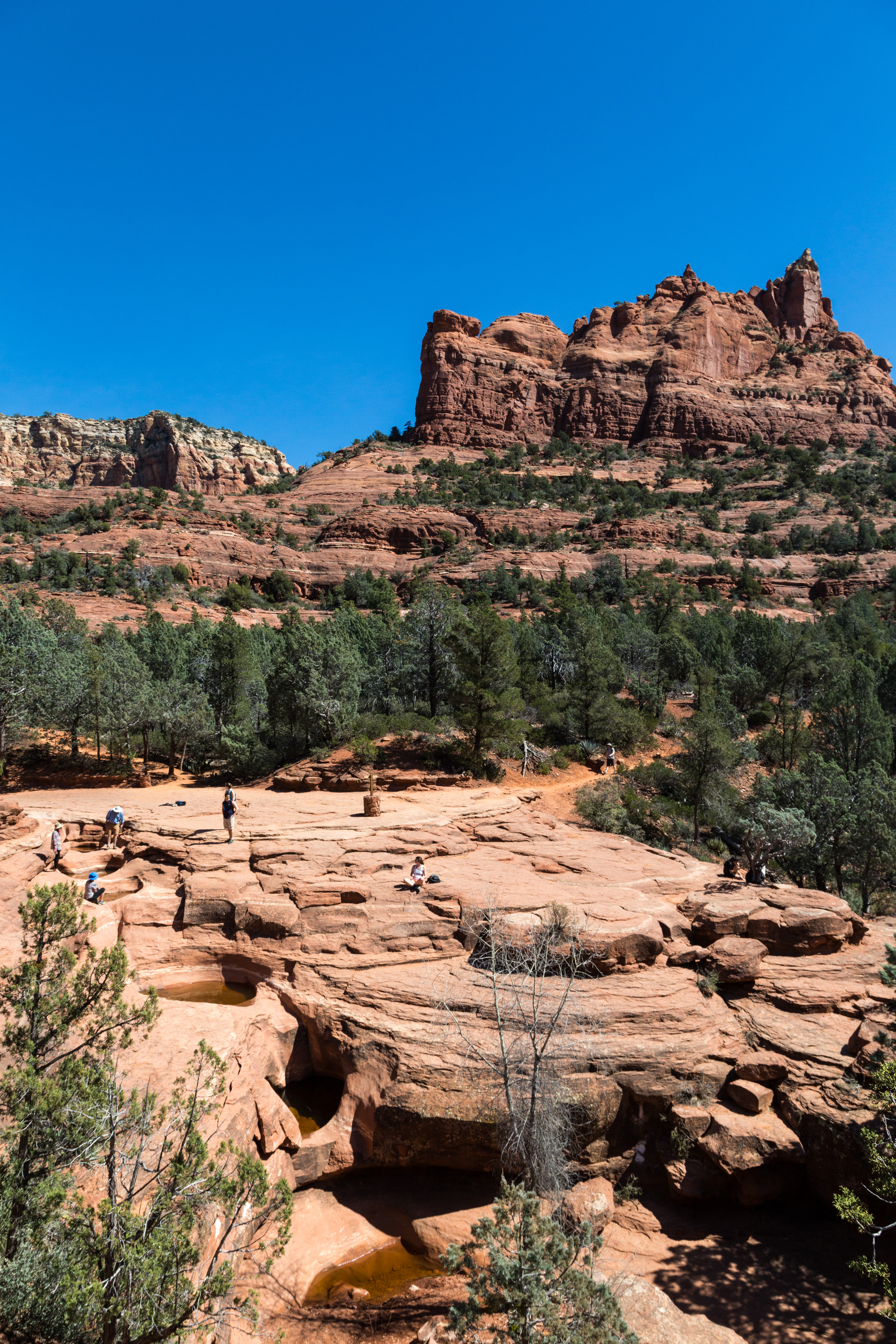 Soldier's Pass Trail to Brins Mesa Trail