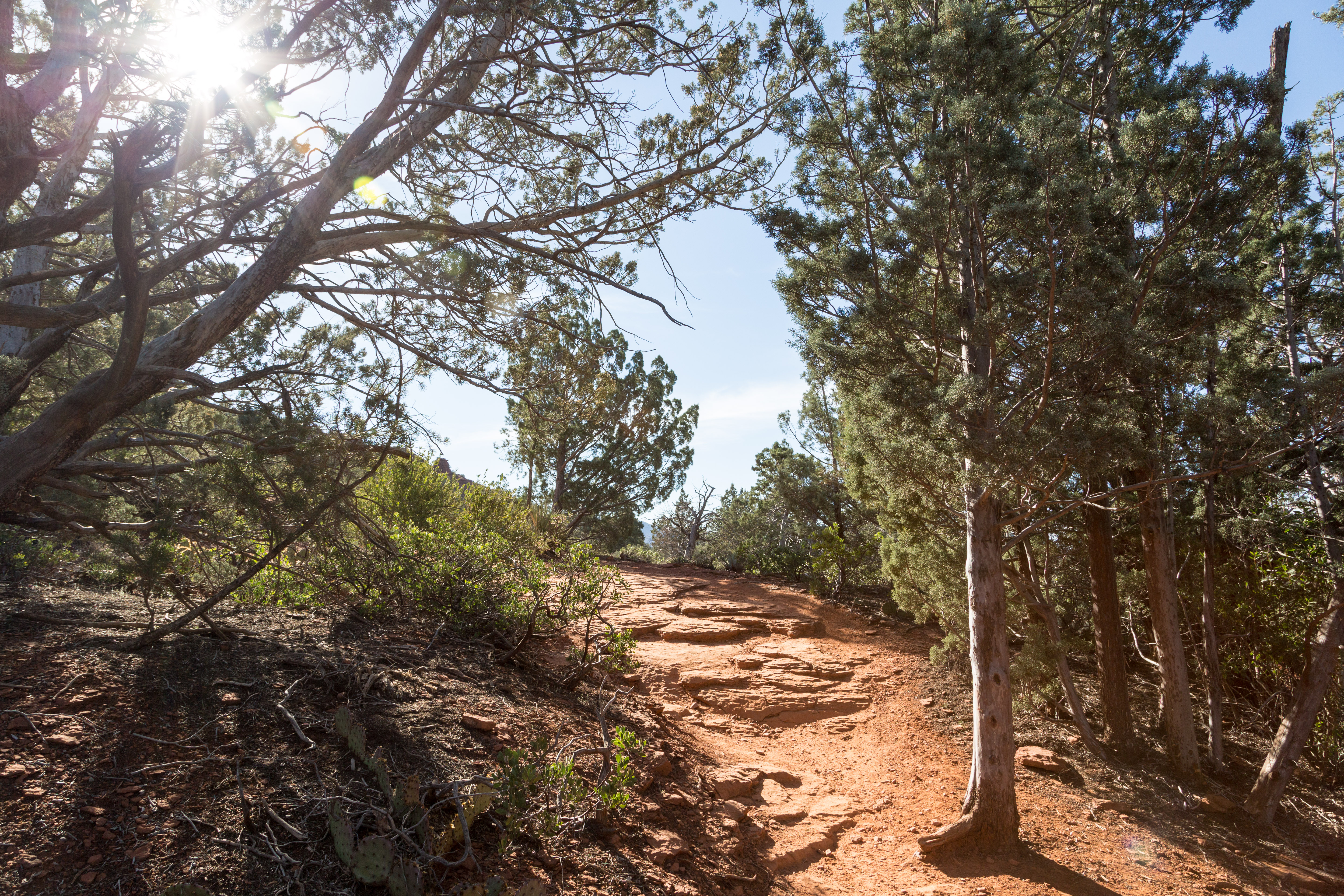 Soldier's Pass Trail to Brins Mesa Trail