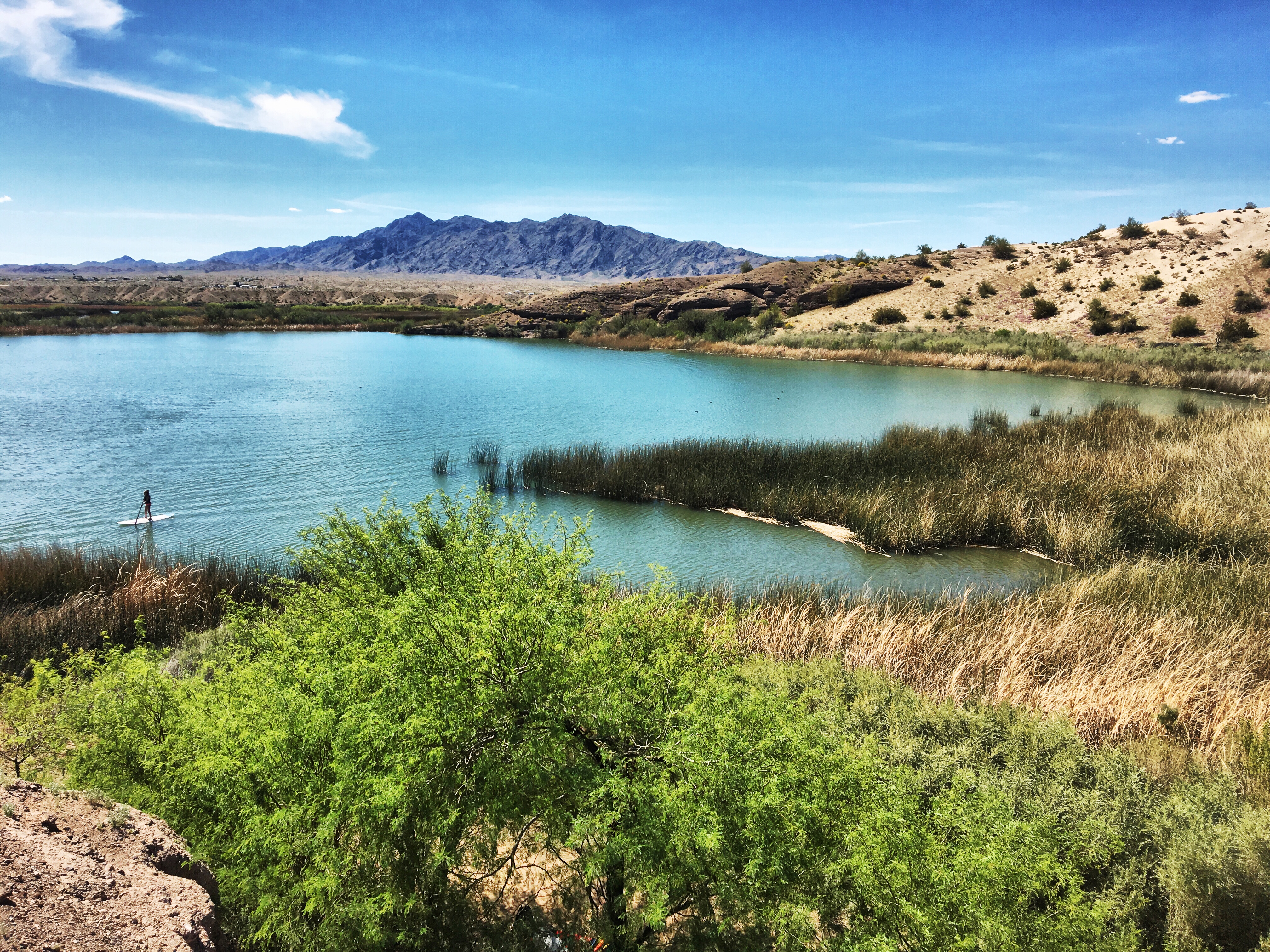 Stand Up Paddle in Castle Rock Bay, Lake Havasu City, Arizona