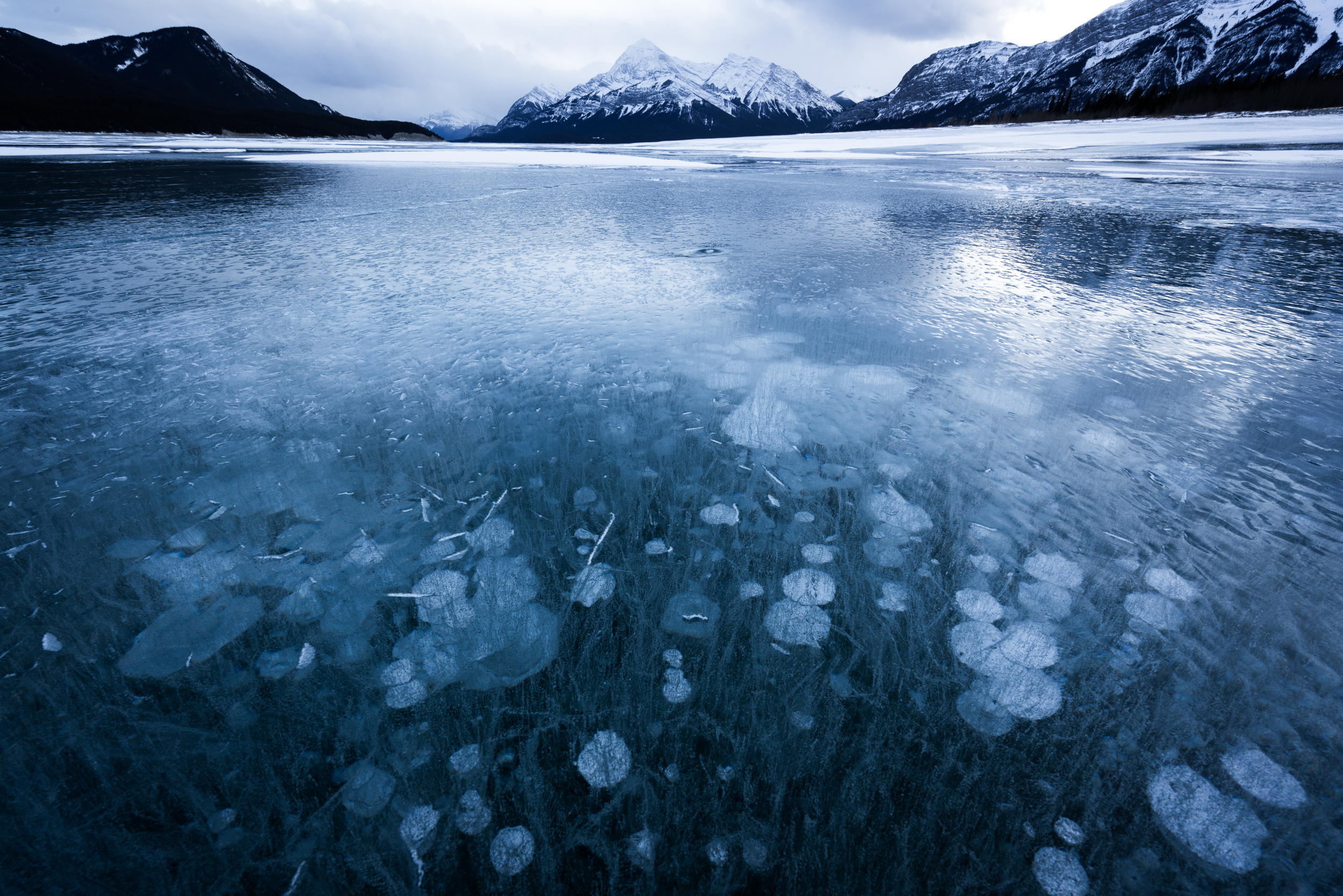 Abraham Lake