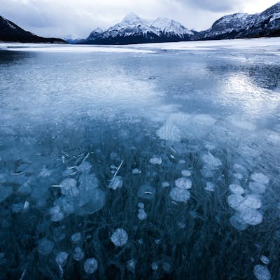 Photograph Abraham Lake in the Winter