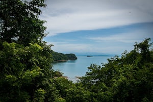 A Journey to the Crystal Clear Waters of Panama's Red Frog Beach