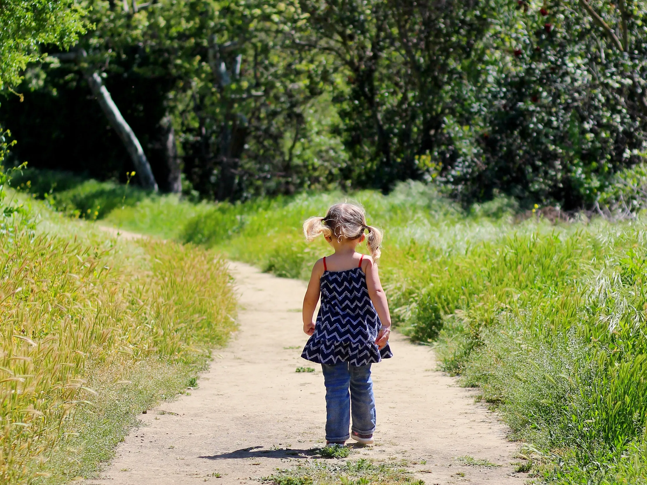 Sycamore Canyon Trail in Turnbull Canyon