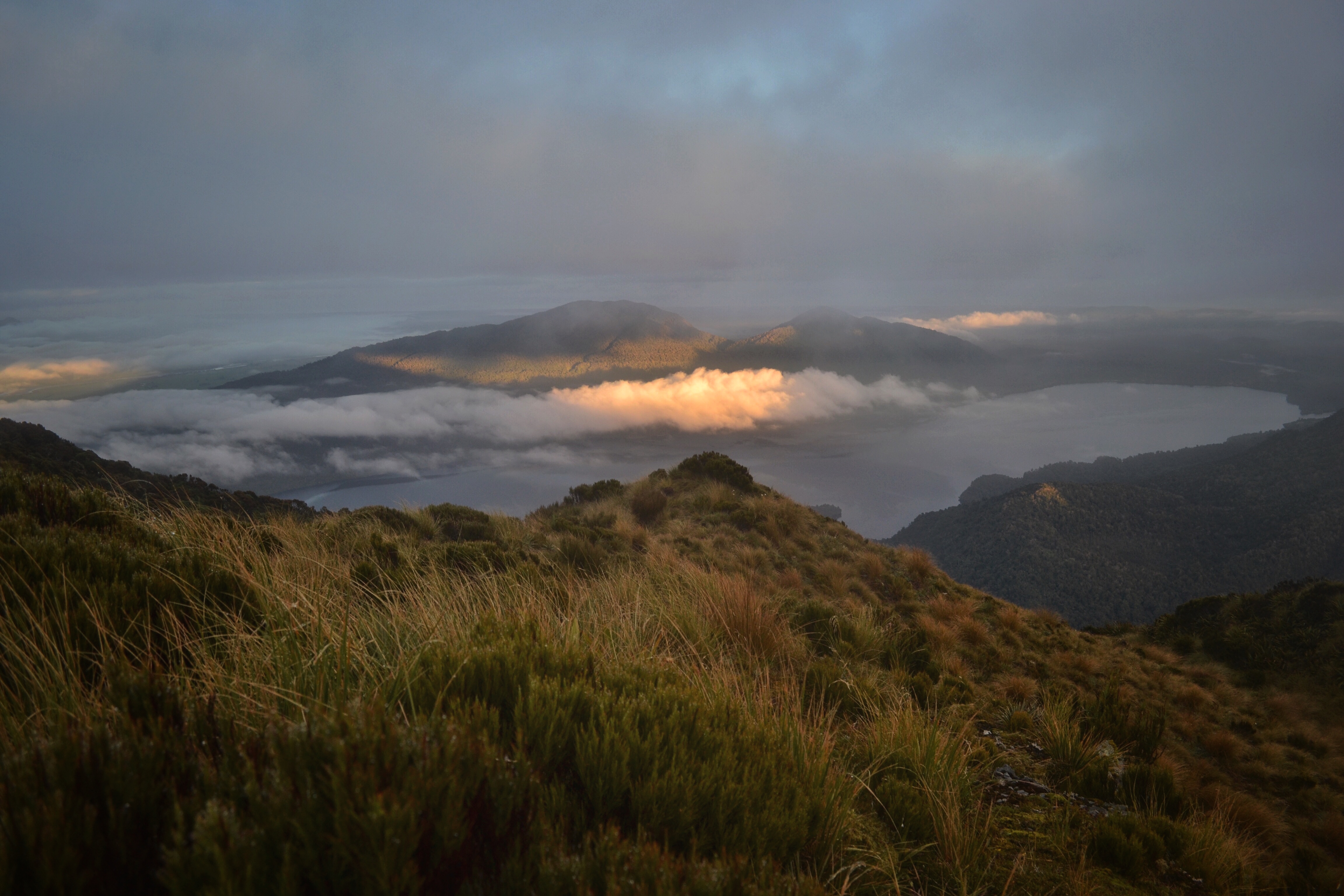 Hike to the Mt. Brown Hut and Mt. Brown Summit