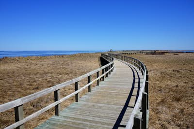 Hike to the Bouctouche Dunes Lighthouse