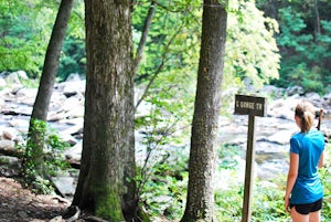 Hike the Conley Cove Trail into Linville Gorge