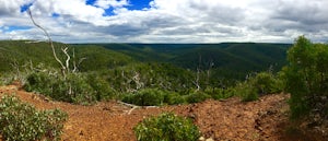 Hike the Ted Errey Nature Circuit