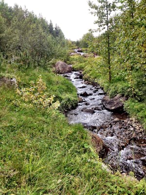 Trail Run in Kjarnaskógur