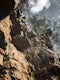 Rock Climb at Goshen Pass