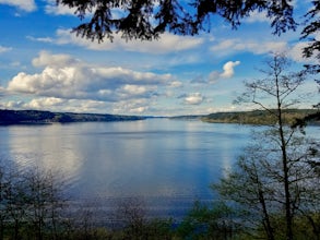 Run through Point Defiance Park