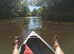 Canoe Black Creek