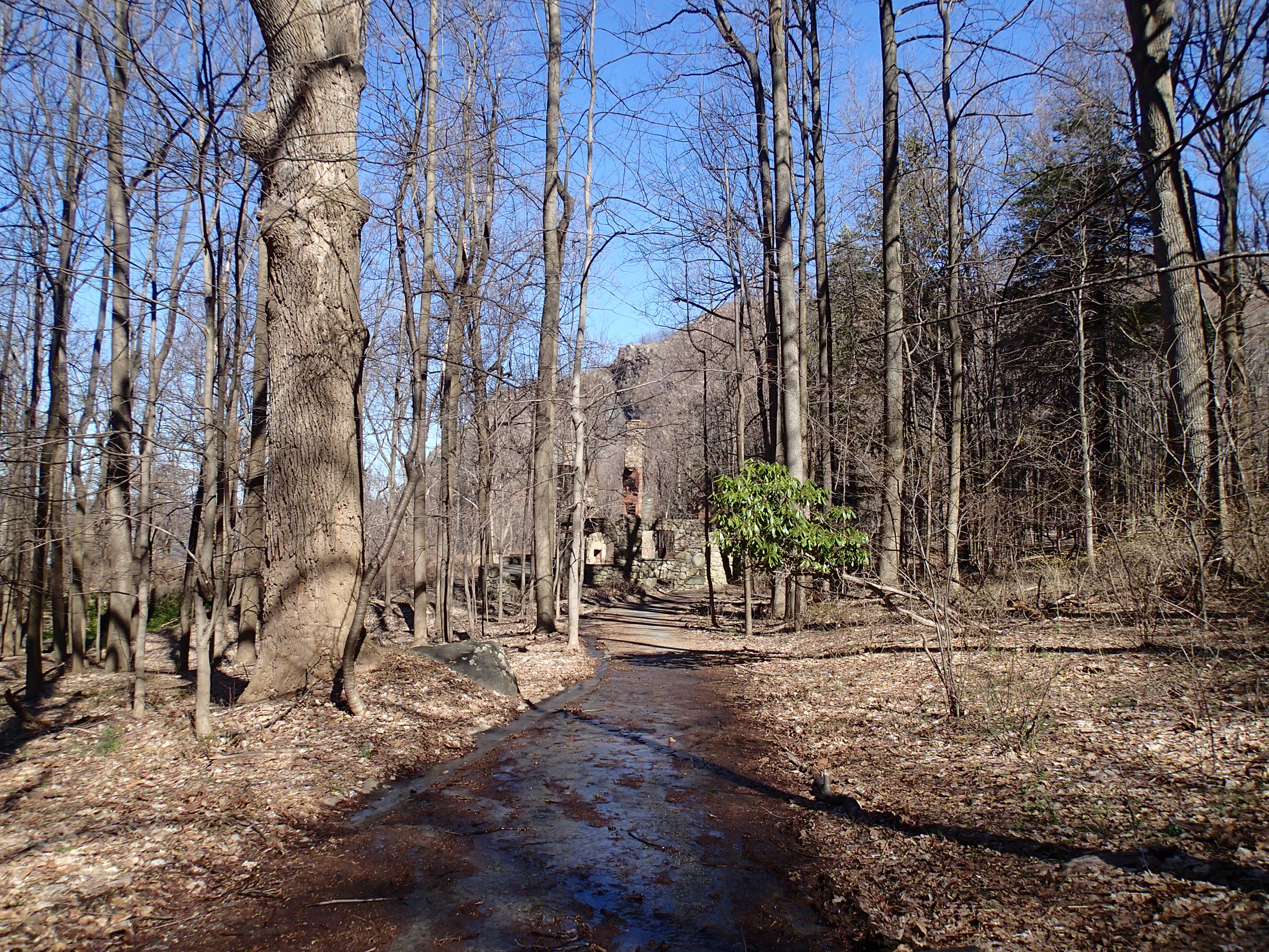 Hike the Cornish/Brook/Notch/Washburn/Undercliff Loop
