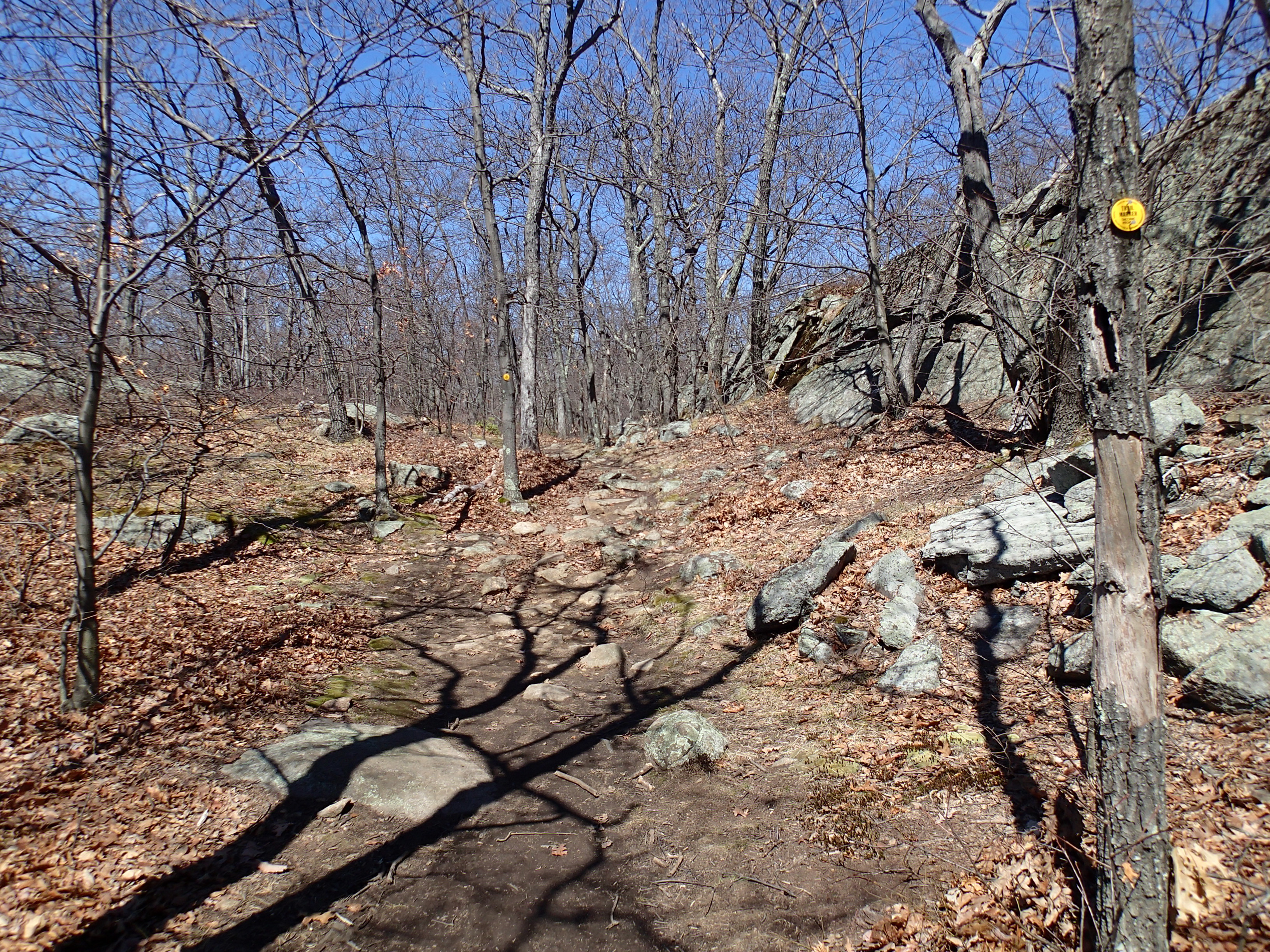 Hike the Cornish/Brook/Notch/Washburn/Undercliff Loop