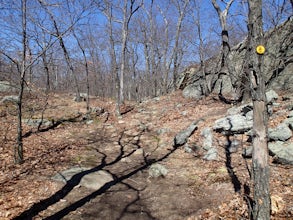 Hike the Cornish/Brook/Notch/Washburn/Undercliff Loop