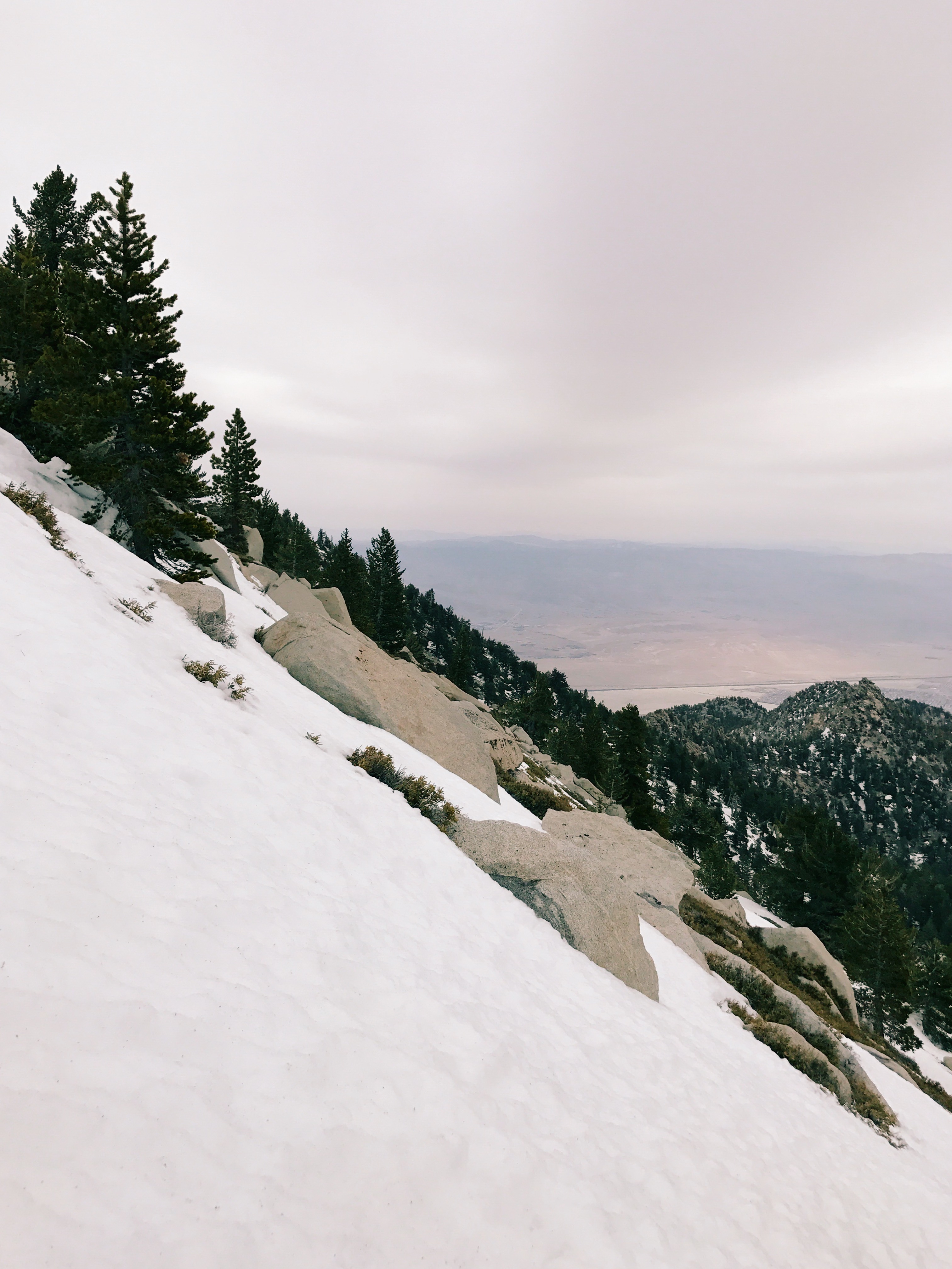 Winter Climb San Jacinto from the Tram