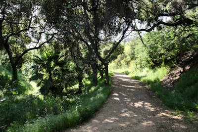 Beacon Hill via Coolidge Trail