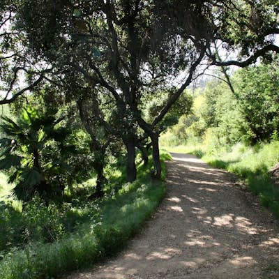 Beacon Hill via Coolidge Trail