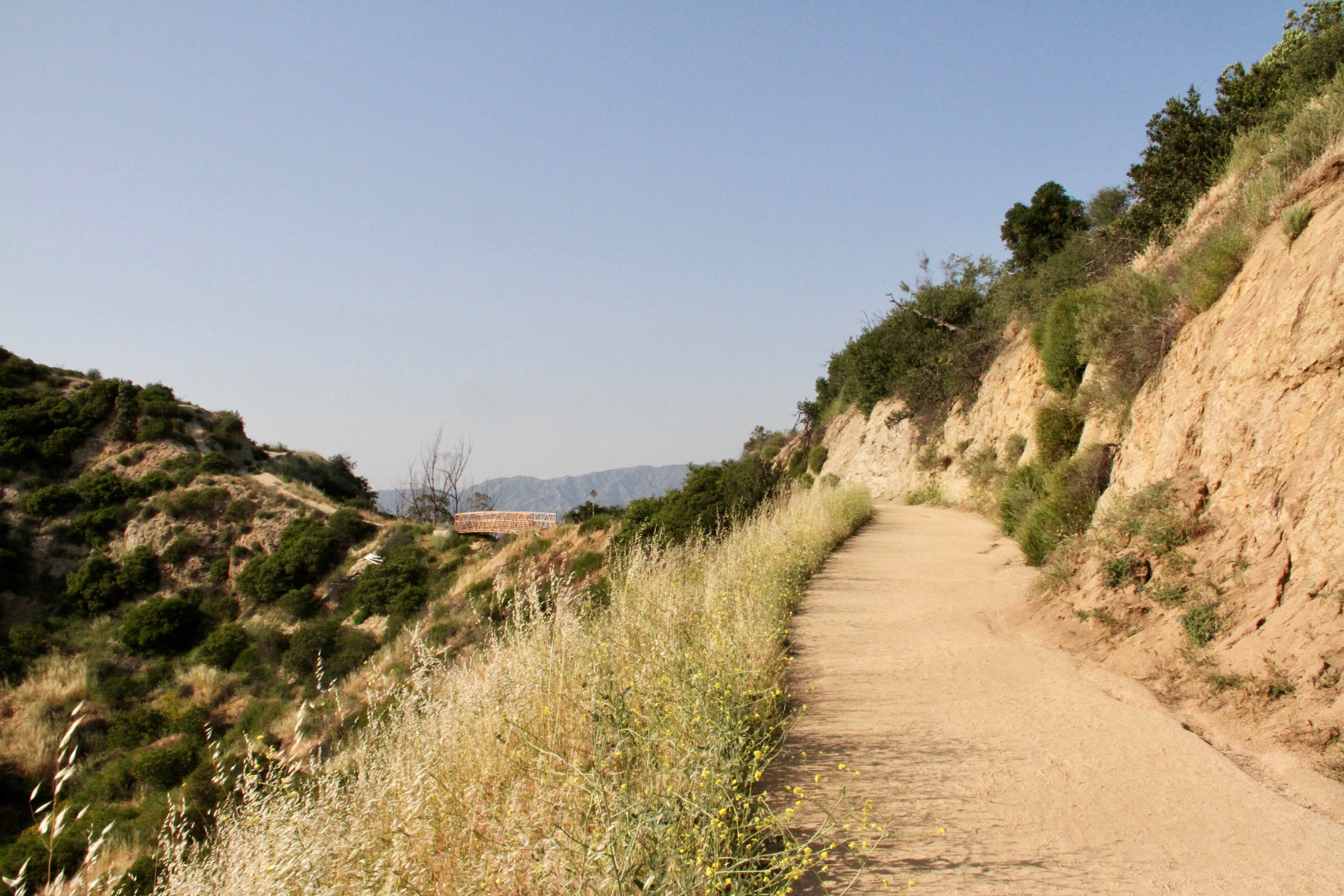 Glendale Peak via Henry's Trail