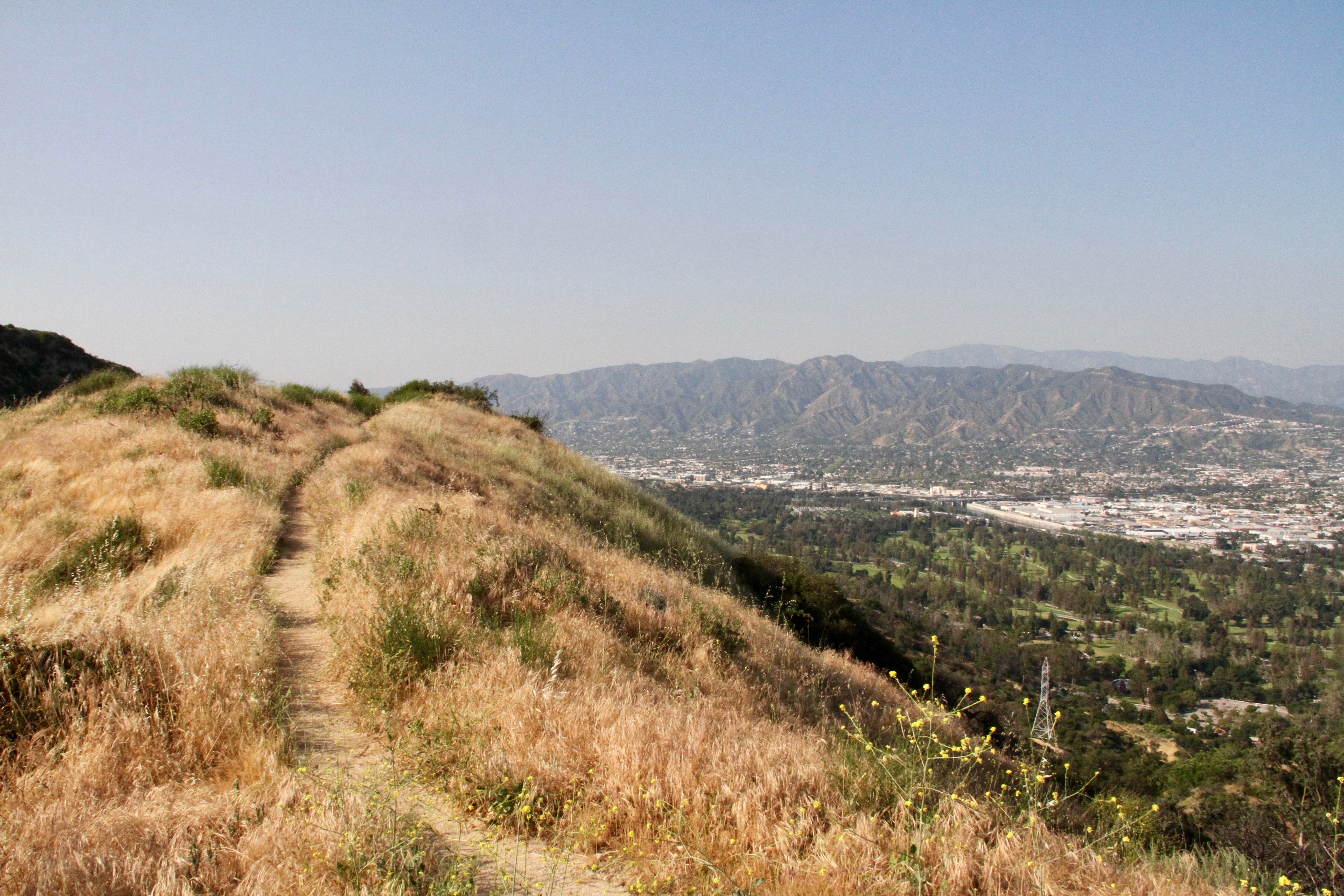 Glendale Peak via Henry's Trail