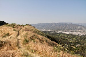 Hike to Glendale Peak via Henry's Trail