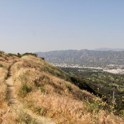 Glendale Peak via Henry's Trail
