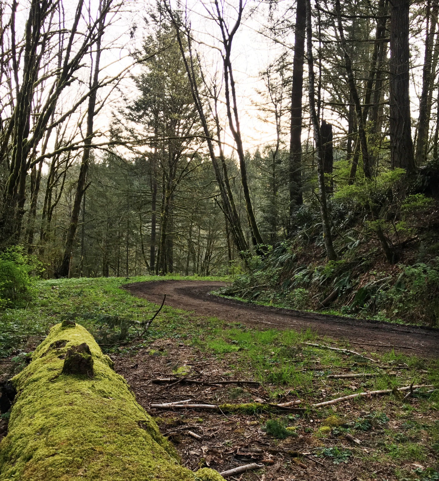 Run the Saltzman Road Trail 