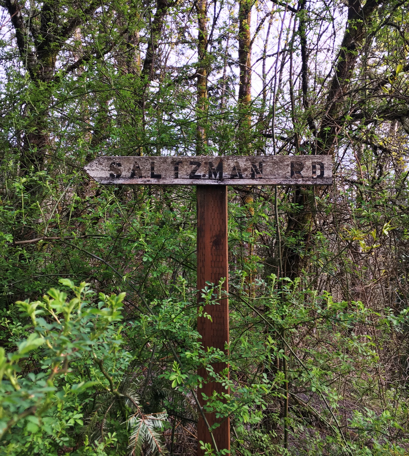 Run the Saltzman Road Trail 