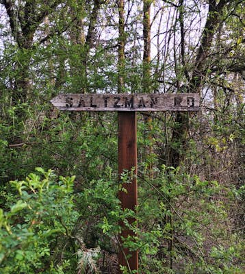 Run the Saltzman Road Trail 
