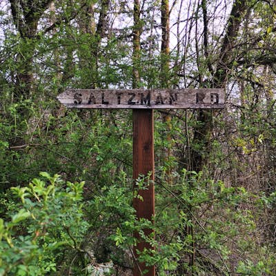 Run the Saltzman Road Trail 