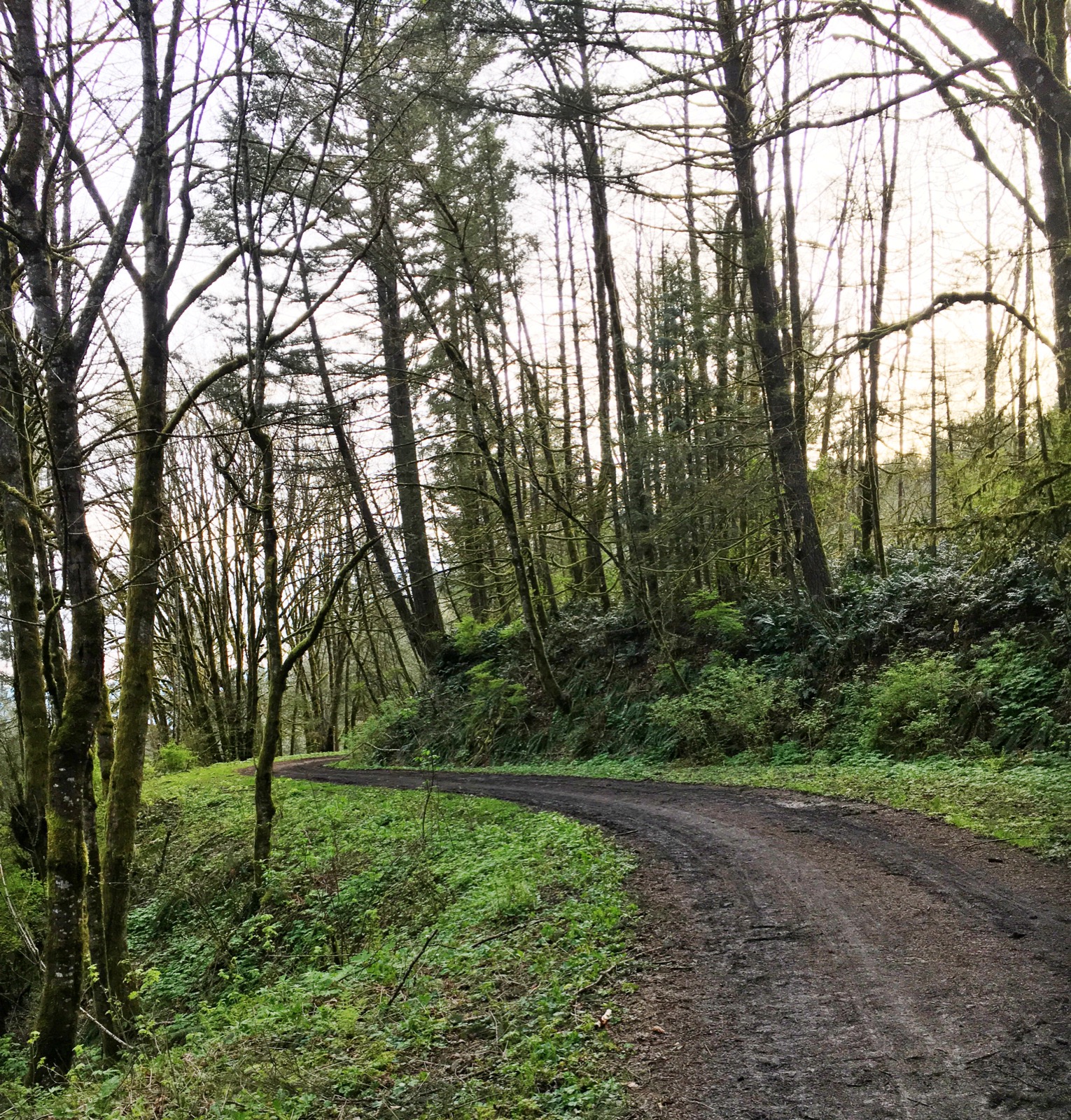 Run the Saltzman Road Trail 