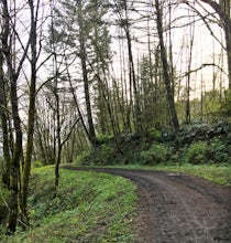Run the Saltzman Road Trail 