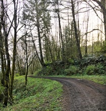 Run the Saltzman Road Trail 