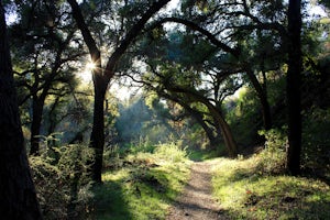 Hike or Bike Marshall Canyon