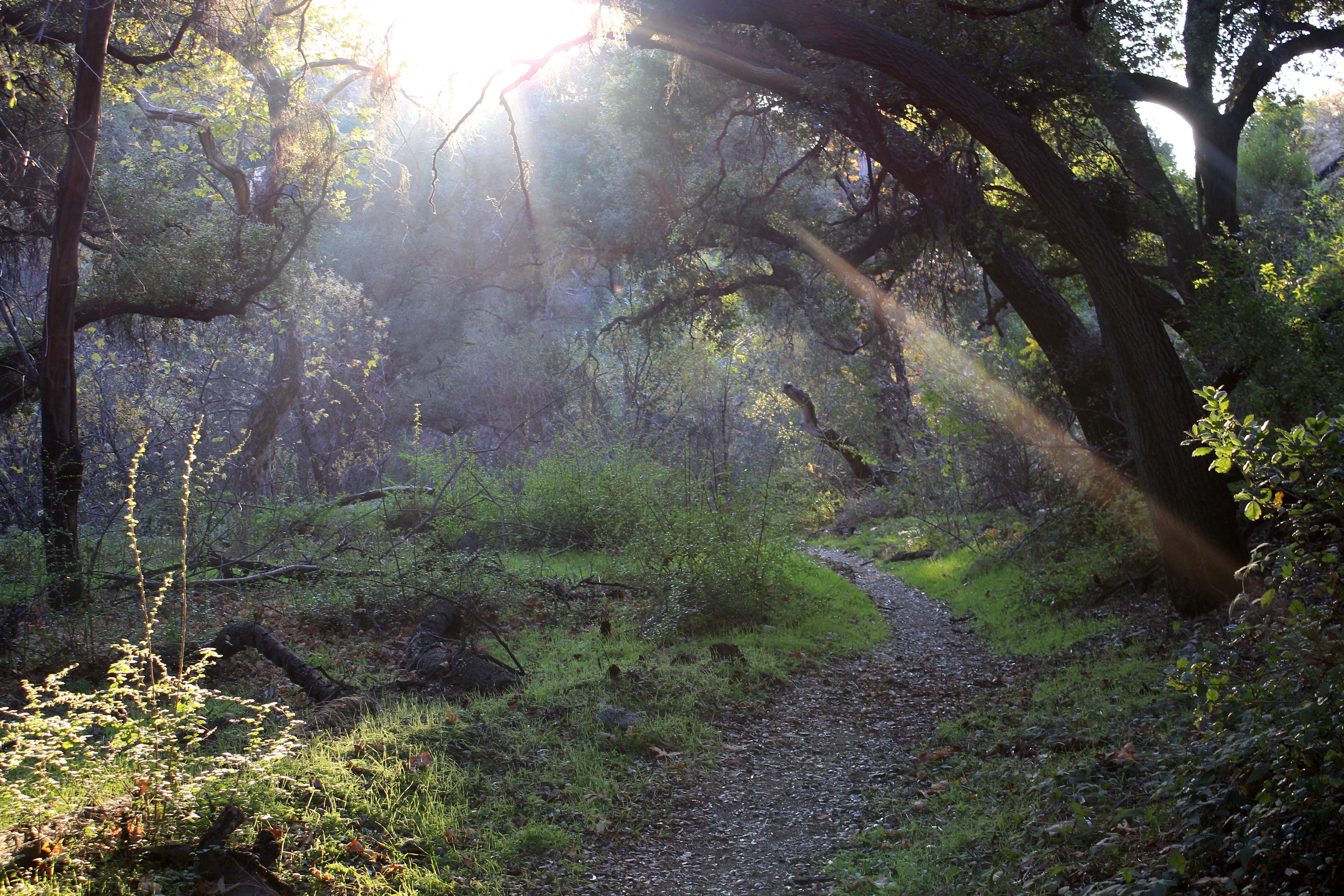 Marshall Canyon Trail