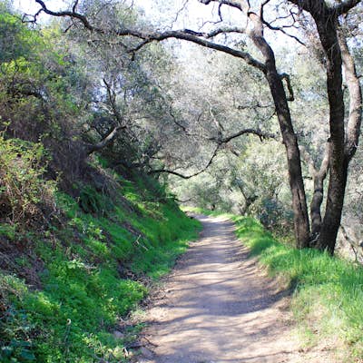 Marshall Canyon Trail