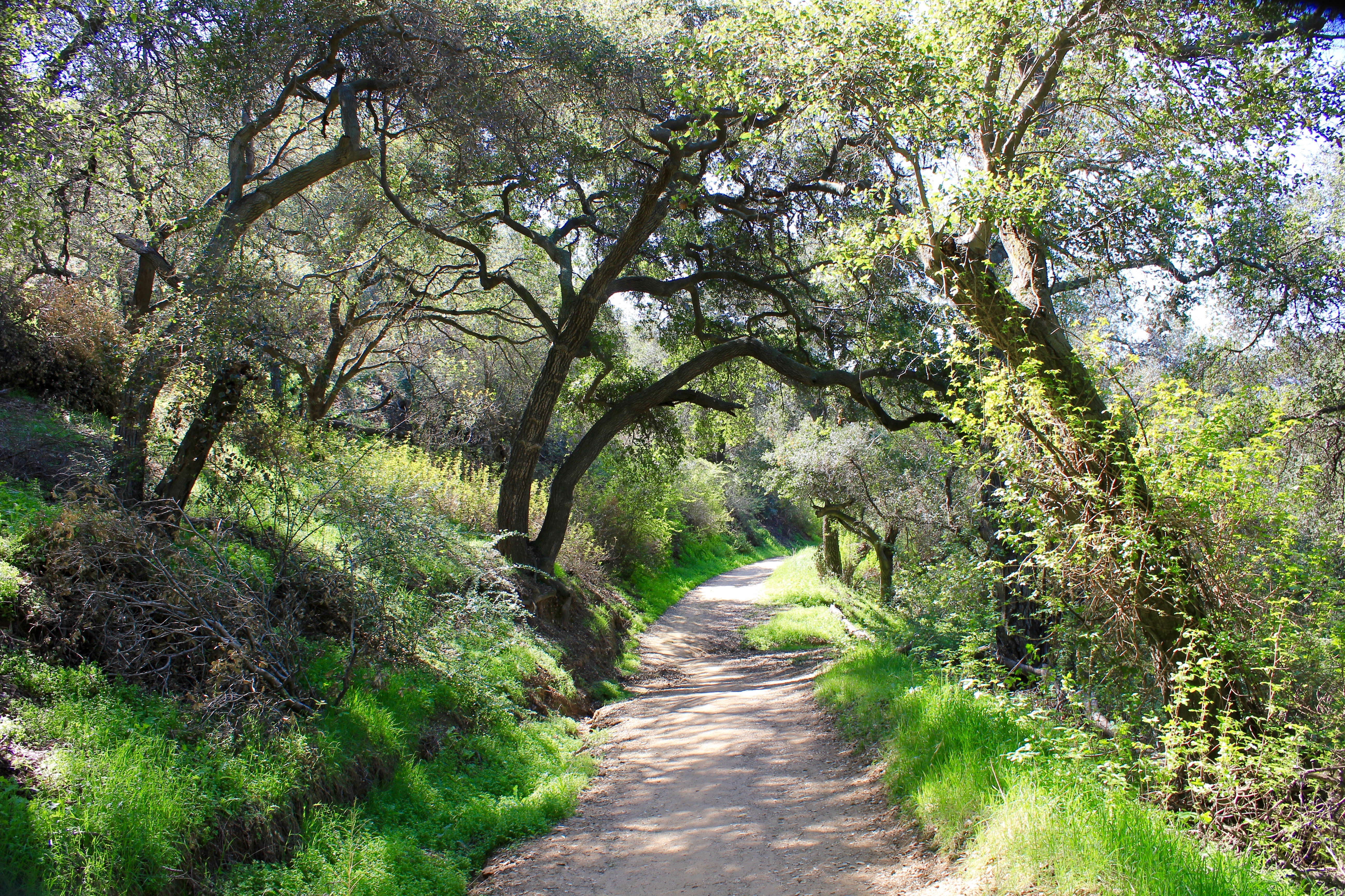 Marshall Canyon Trail