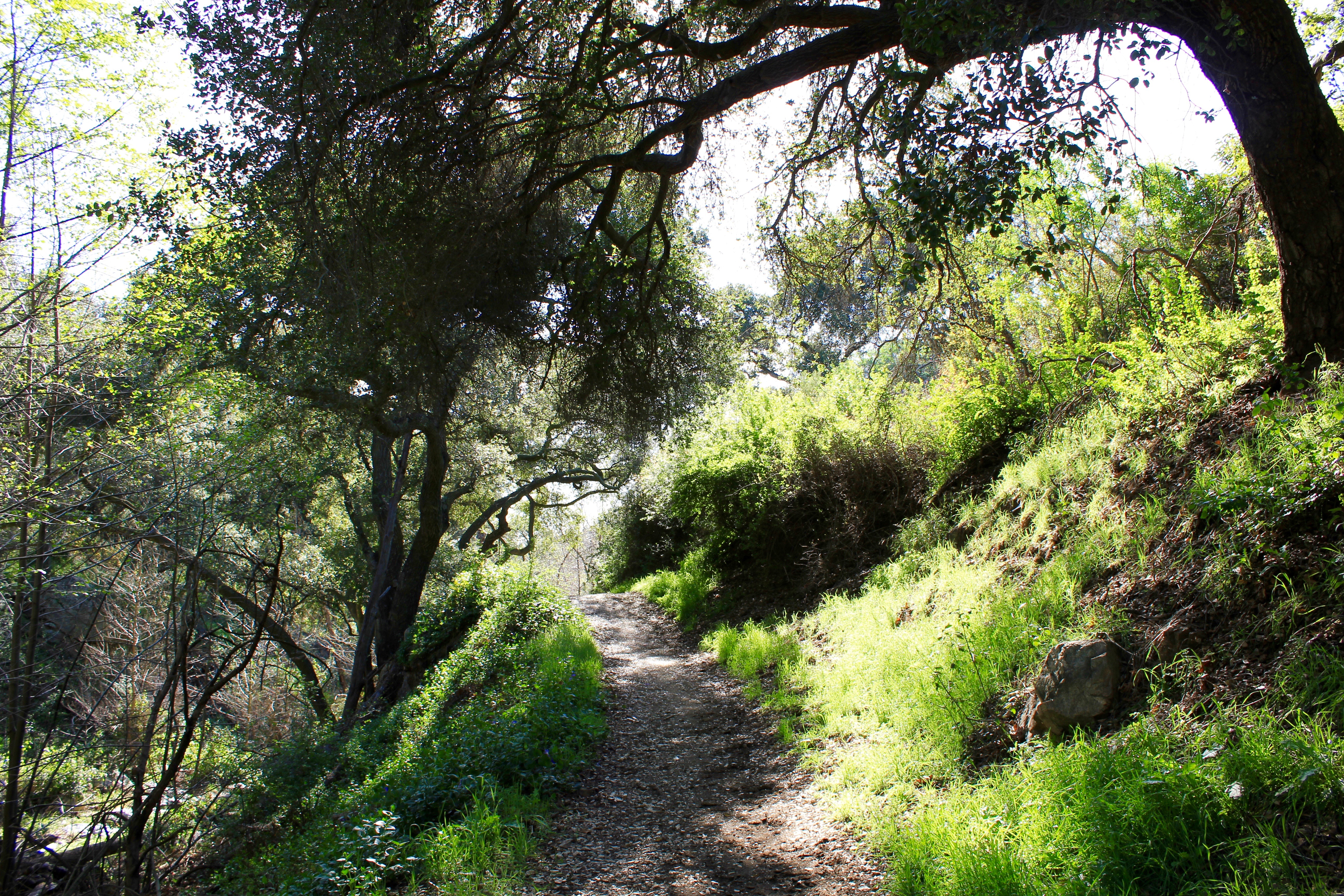 Marshall Canyon Trail