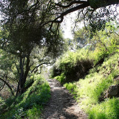 Marshall Canyon Trail