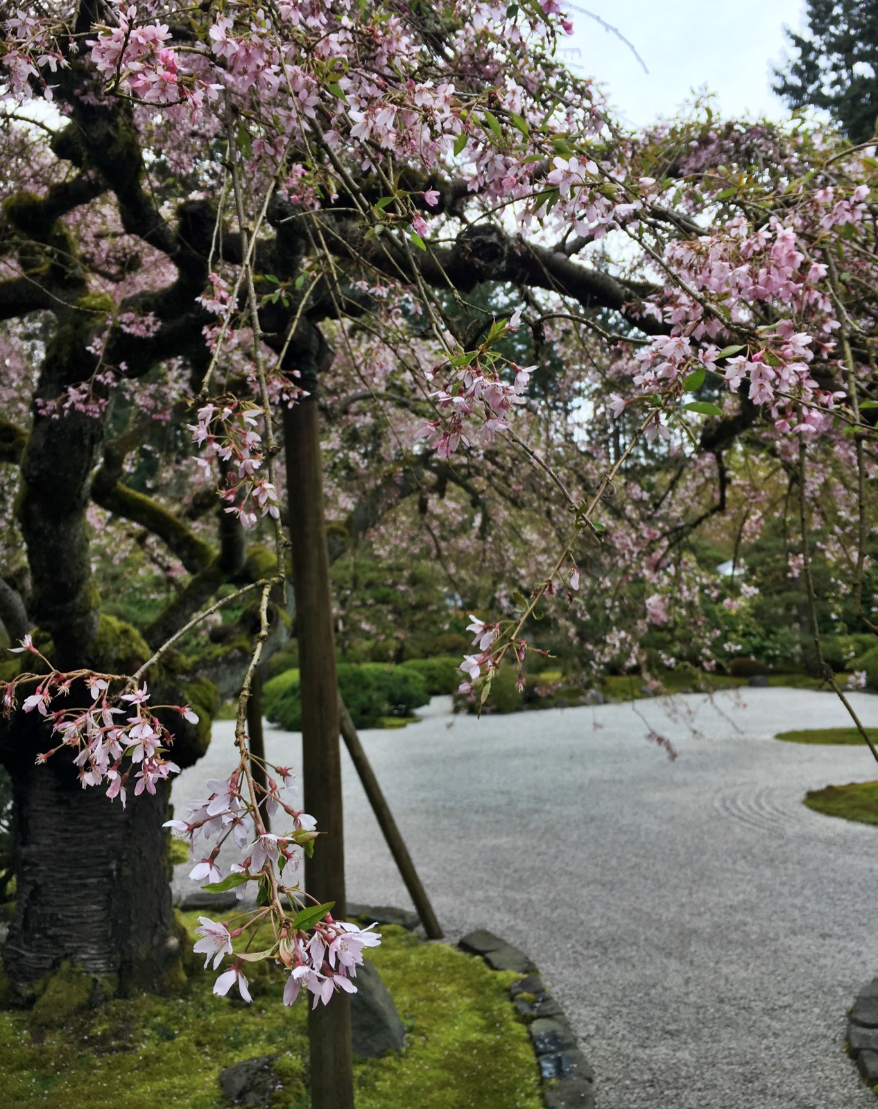 Portland Japanese Garden