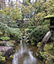 Explore the Portland Japanese Garden