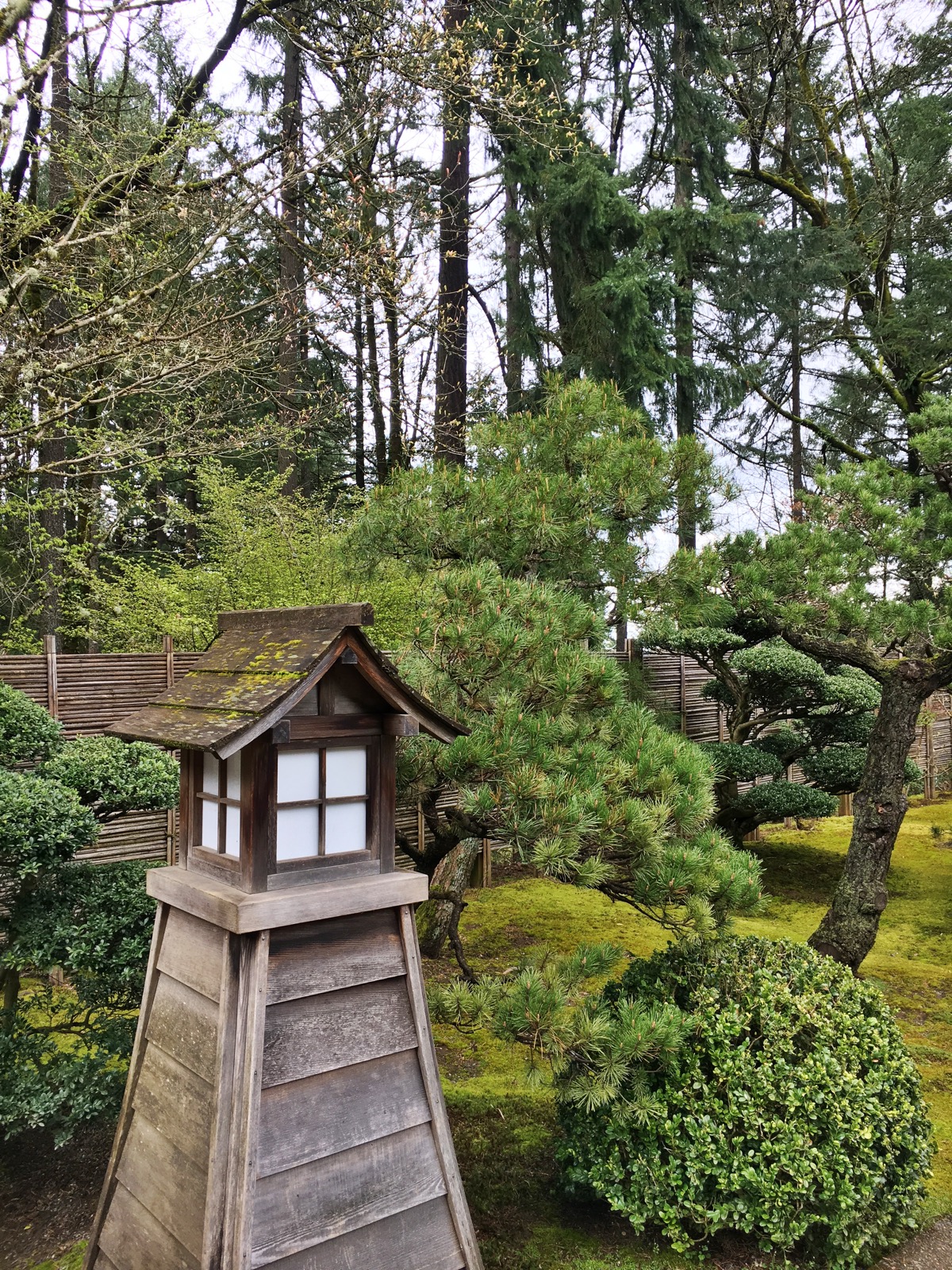 Portland Japanese Garden