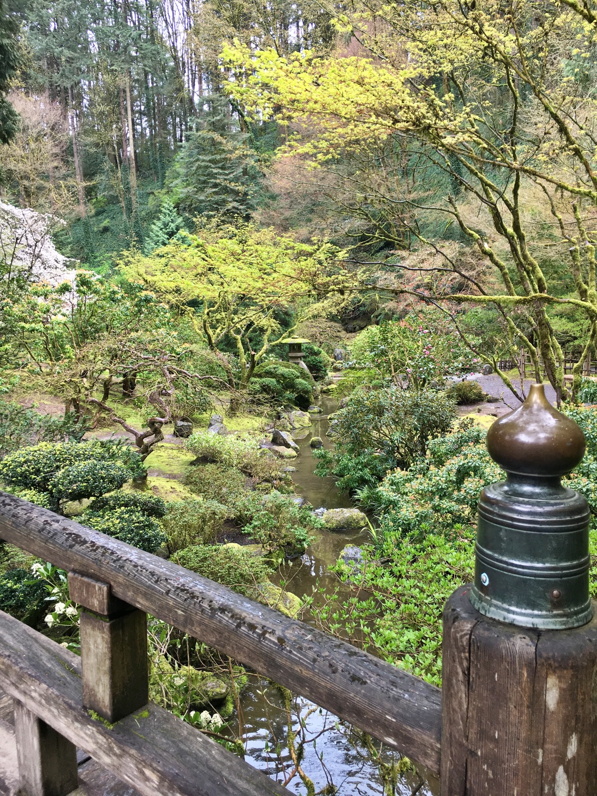 Portland Japanese Garden