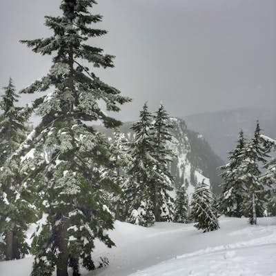 Snowshoeing at Mount Seymour in Vancouver