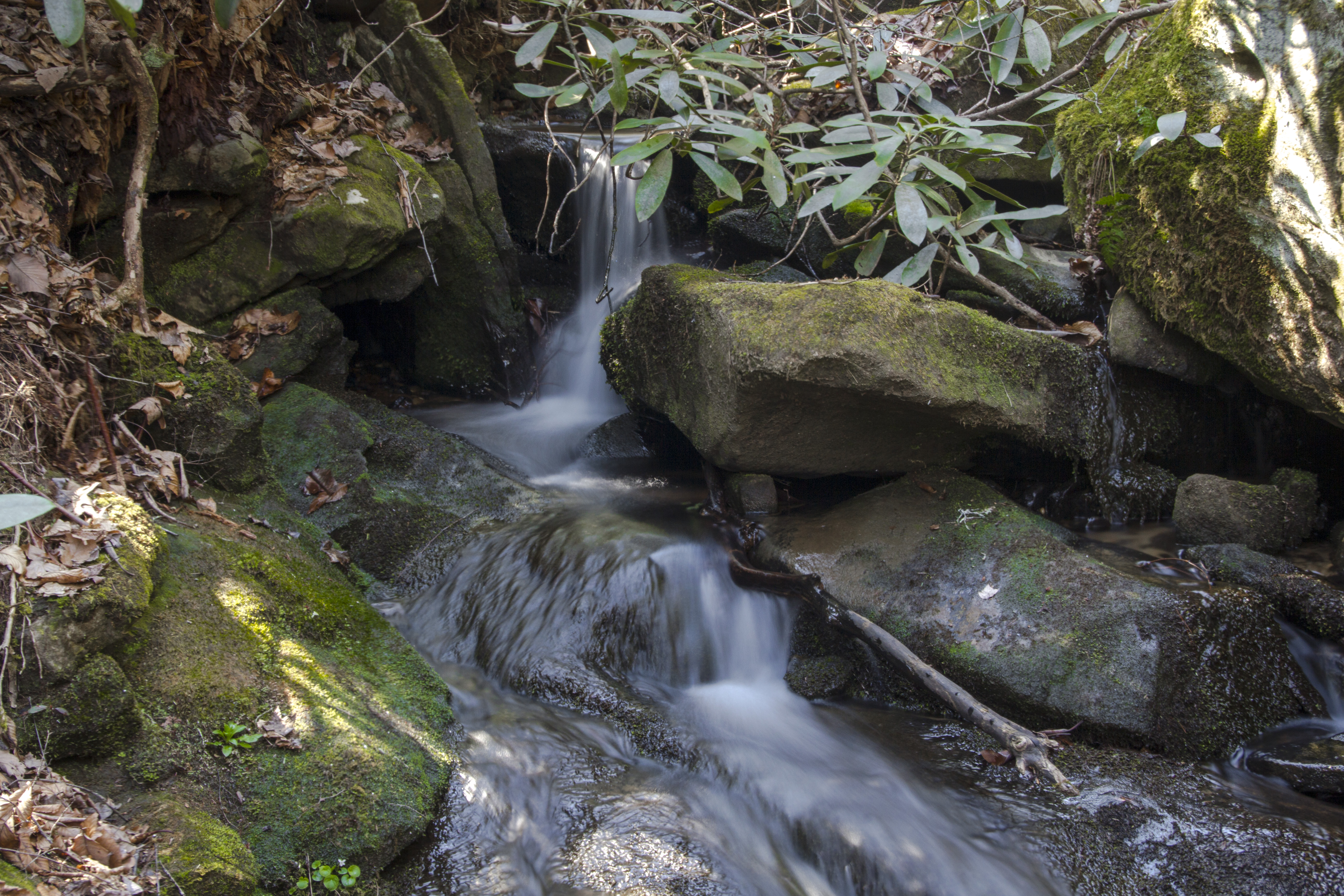Hike to Honeymoon Falls at Pine Mountain State Resort Park