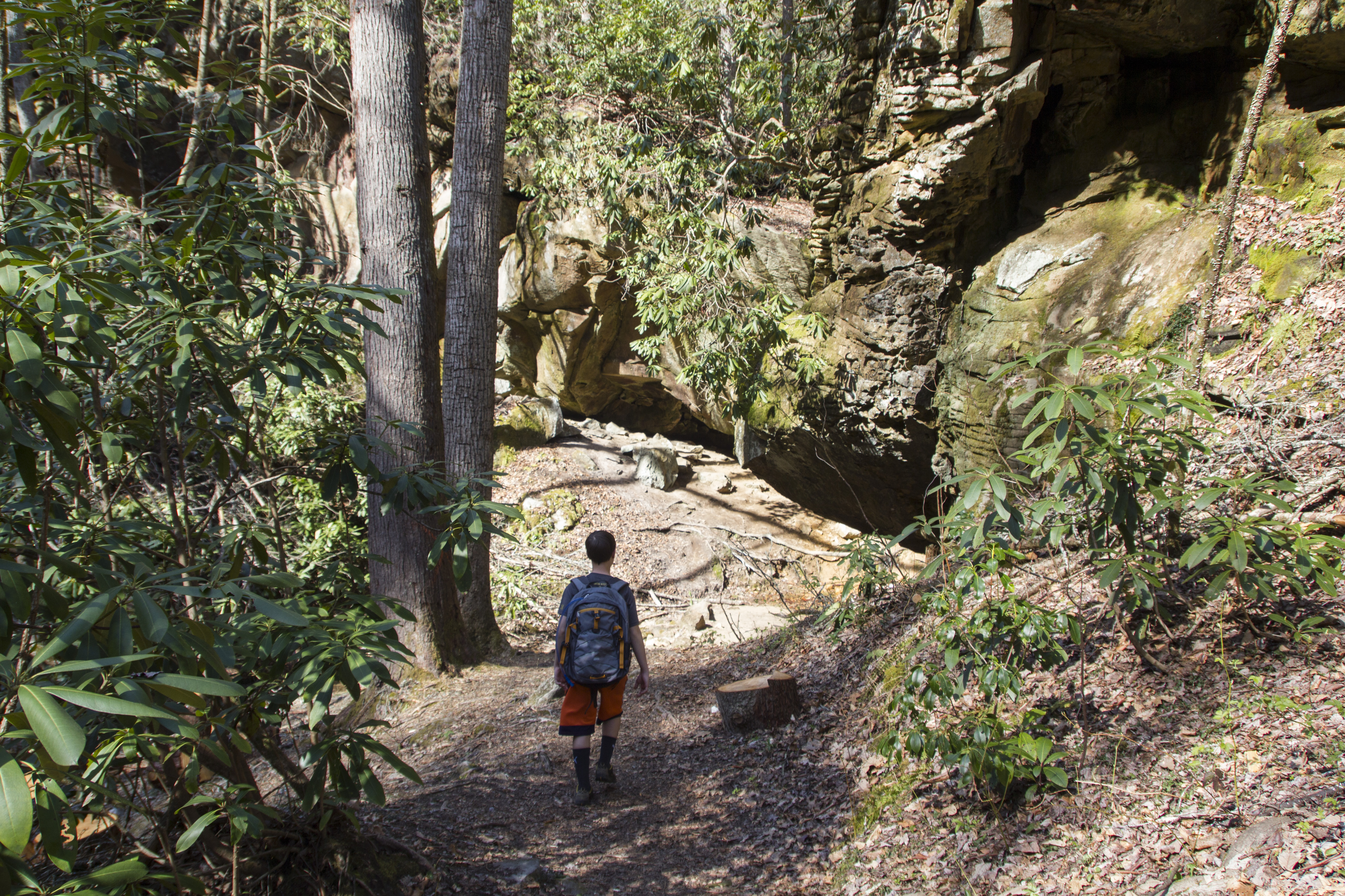 Hike to Honeymoon Falls at Pine Mountain State Resort Park