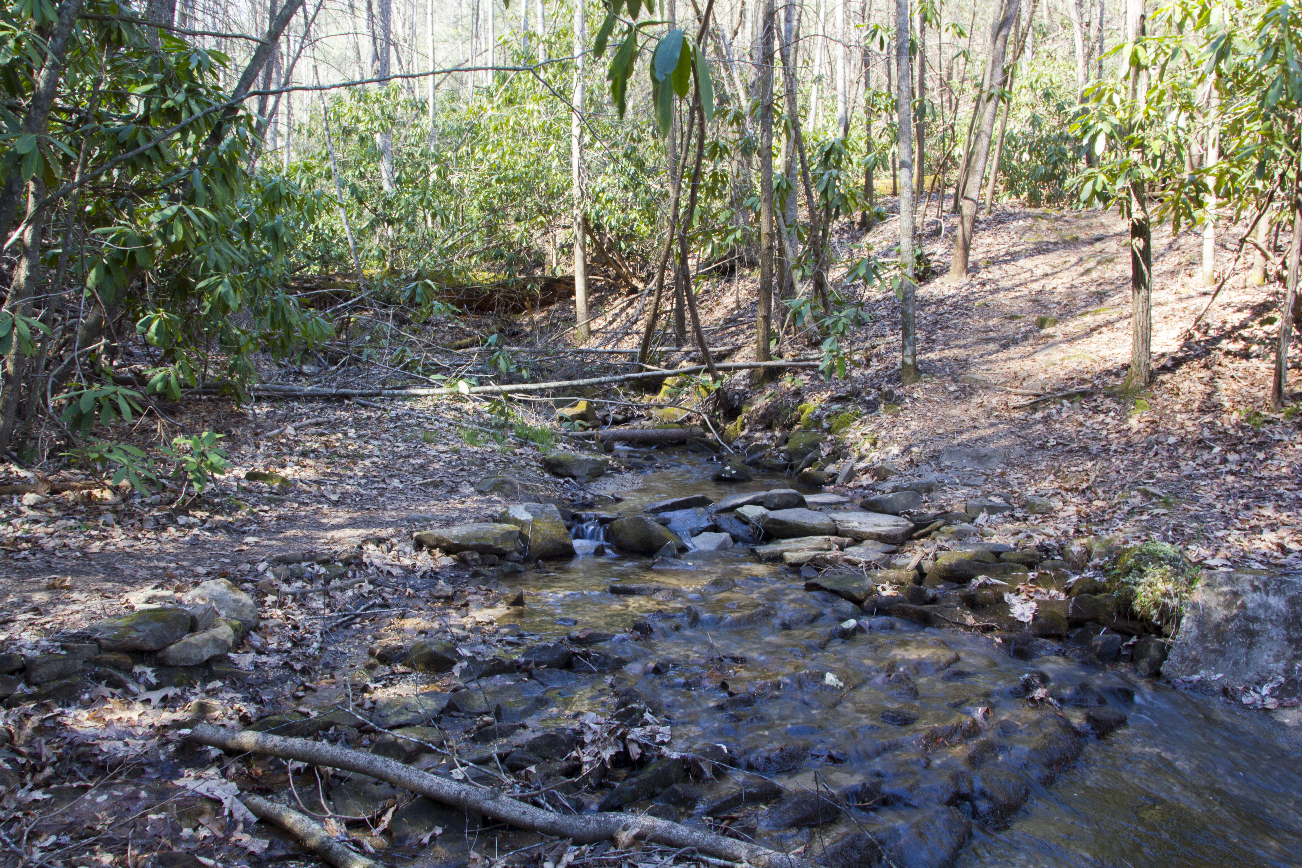 Hike to Honeymoon Falls at Pine Mountain State Resort Park