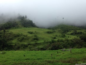 Bike to the Valle de Cocora