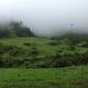 Bike to the Valle de Cocora